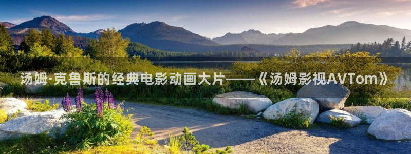 电影天堂三体：汤姆·克鲁斯的经典电影动画大片——《汤姆影视AVTom》