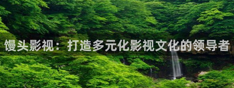 辩护人电影天堂下载