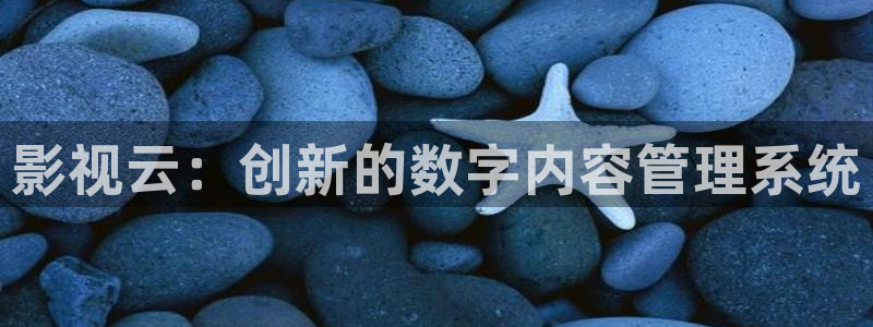 日韩美女电影天堂：影视云：创新的数字内容管理系统