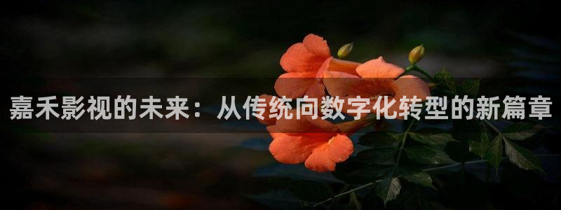 ok吧电影天堂：嘉禾影视的未来：从传统向数字化转型的新篇章