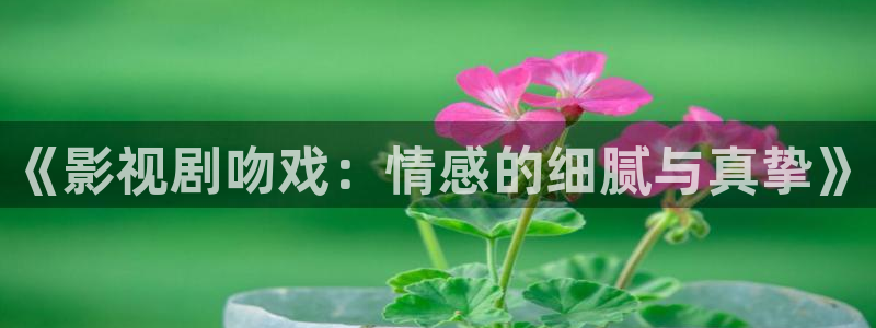 大空头电影天堂：《影视剧吻戏：情感的细腻与真挚》